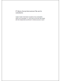 Limited Assurance Report 2025